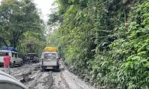Assam trucker killed in Mizoram accident; poor NH-306 condition under spotlight