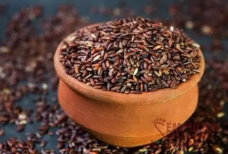 Representational Image Representational Image