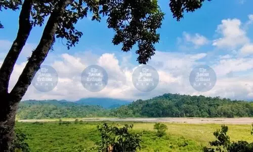 Boundary errors in Raimona Park may invite future disputes with Bhutan: Experts