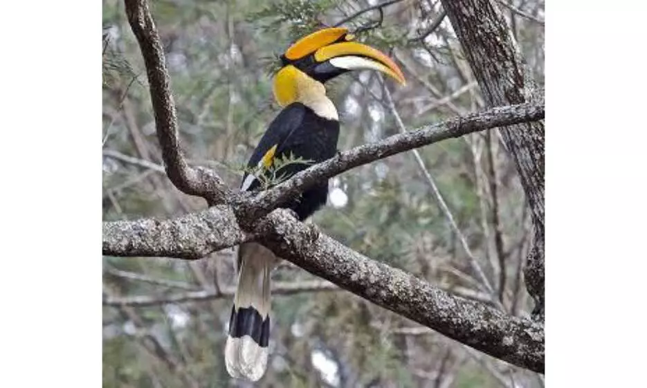 Representational Image Representational Image