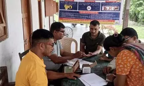 No cure, no exit: Why Japanese Encephalitis haunts Assam every monsoon