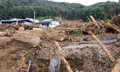 South Korea: After intense rains and landslides, the death toll reaches 23