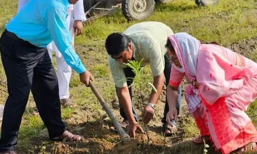 Assam achieves 93.8% of CAMPA target, plants over 1,149 hectares