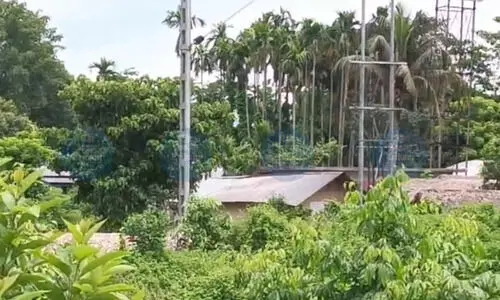 Eviction drive sought in Digbois Navajyoti village as locals allege encroachment