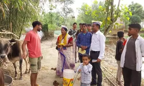 AAP likely to go solo, contest for maximum seats in 2026 Assembly polls