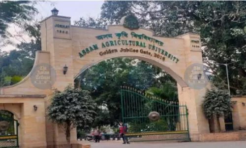 AAU pushes for global export of traditional rice with pure seed initiative