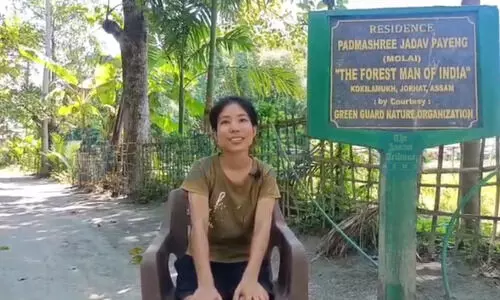 Mulai Kathoni 2.0: Forest man’s daughter leads 1-million tree plantation drive