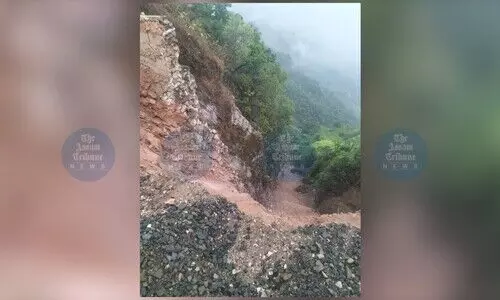 5 of family, including infant, killed as car plunges into gorge on Shillong-Dawki Road