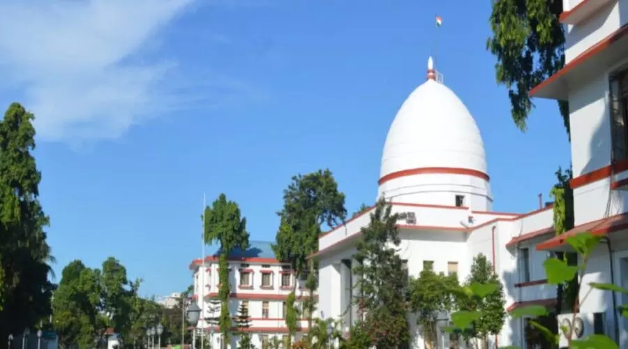 Gauhati HC flays 3,000-bigha land allotment in 6th Schedule Dima Hasao to cement firm
