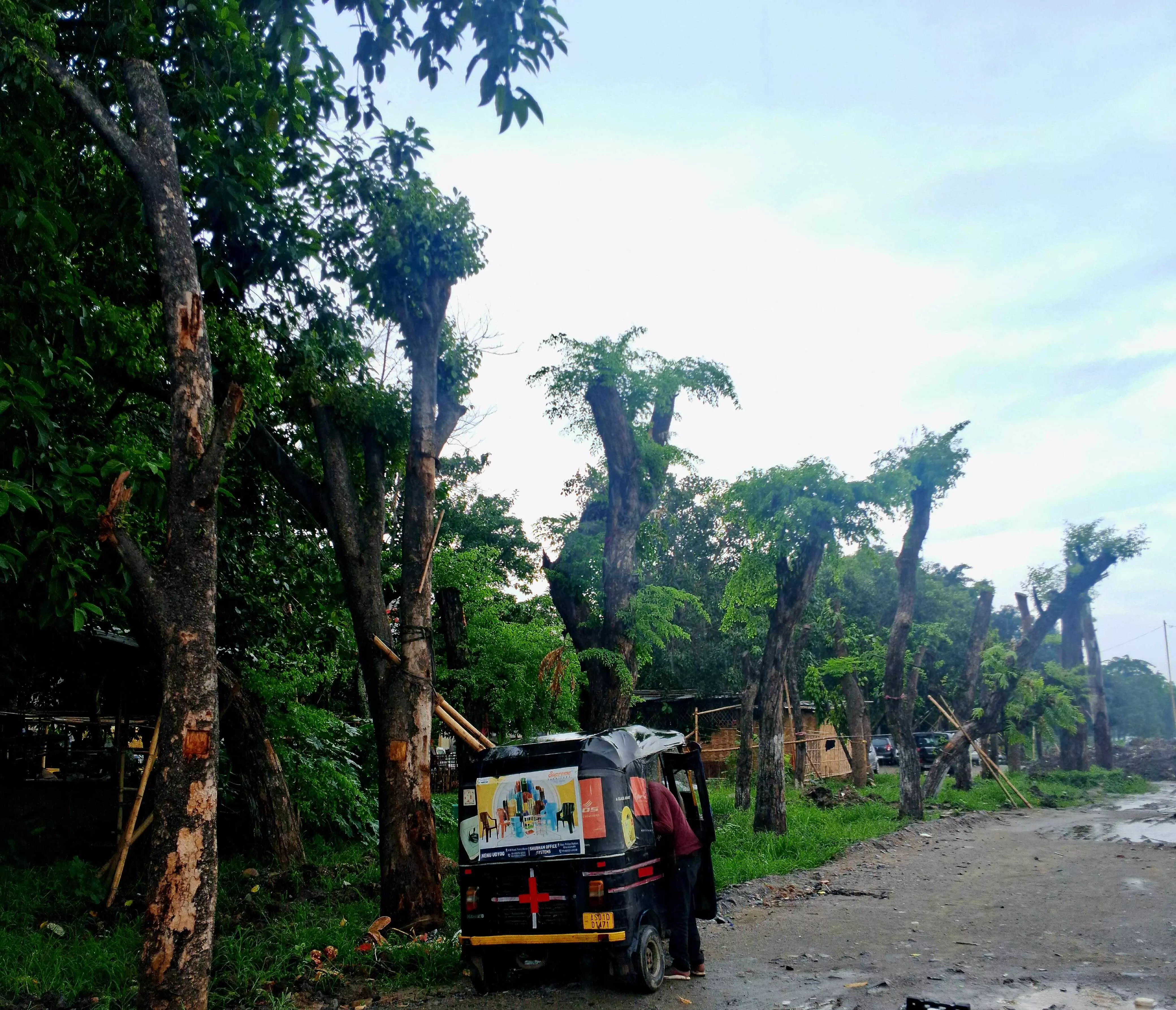 PWD clarifies no trees cut in Dighalipukhuri, says all 77 successfully transplanted PWD clarifies no trees cut in Dighalipukhuri, says all 77 successfully transplanted