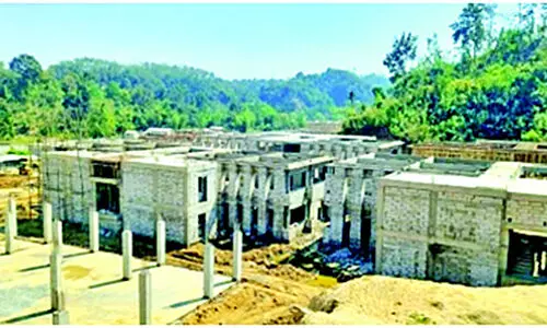 Centre flags ‘unlawful’ forest diversion in Hailakandi, Geleky; questions Assam govt