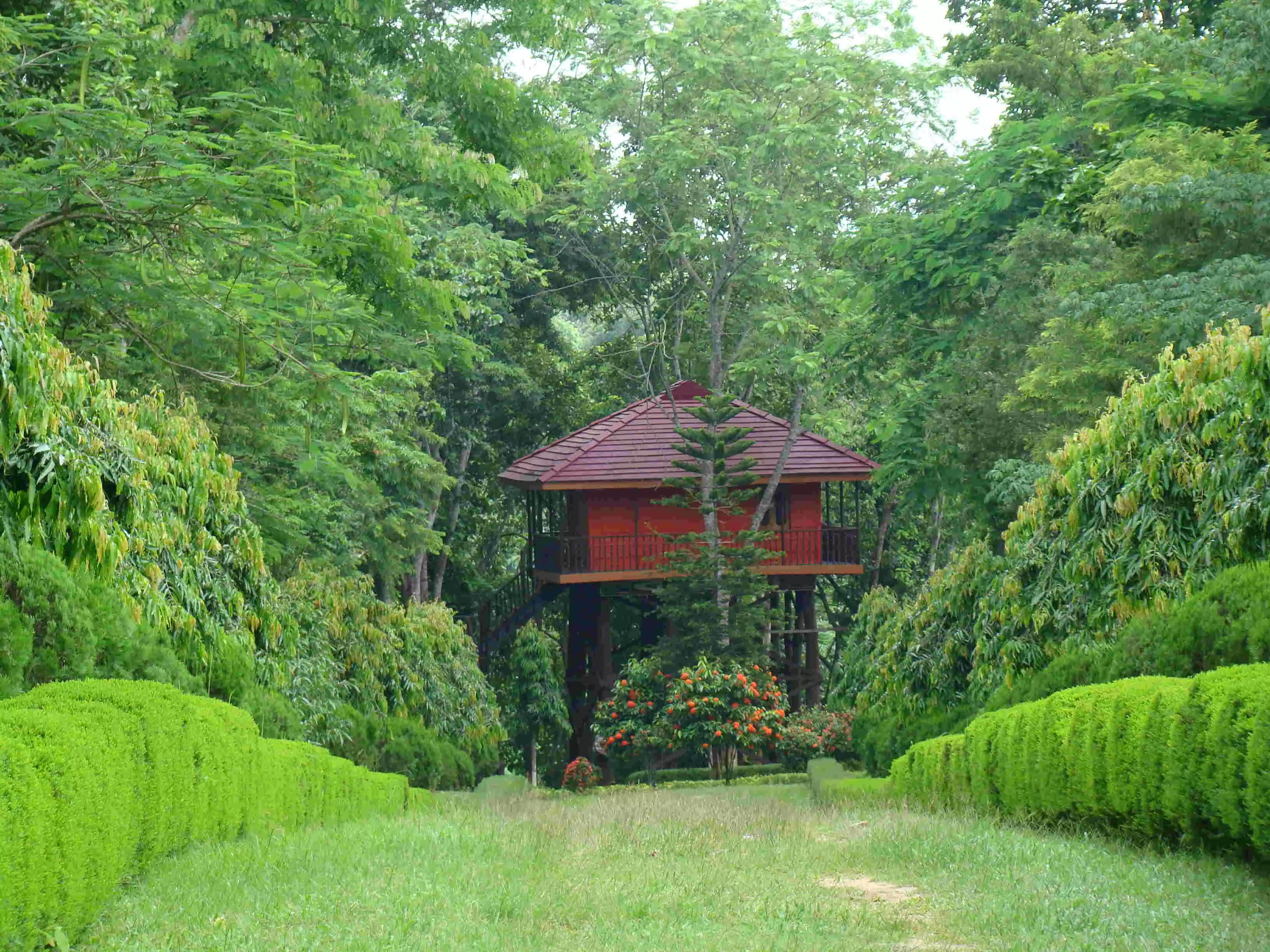 Tripura plans six eco parks across districts to boost tourism, local livelihoods