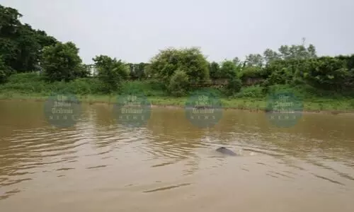 Gasping Kulsi gets boost from Meghalaya’s Batha, offers hope for river dolphins