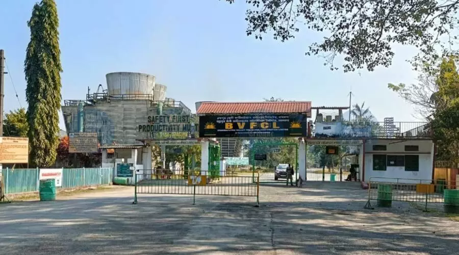 BVFCL’s Namrup-III records highest ever 1.02 lakh MT urea output in four months BVFCL’s Namrup-III records highest ever 1.02 lakh MT urea output in four months