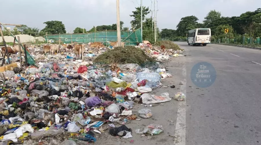 Waste piles on NH 27 in Nalbari, polluting Pagladia River and posing health risks