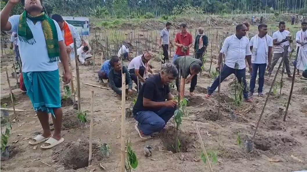 Plantation drive begins in Uriamghat’s Rengma Forest with 15,000 saplings for 60 ha