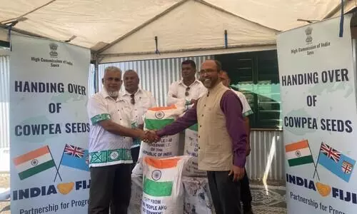 Fiji receives five metric tonnes of black-eyed cowpea seeds from India as agricultural assistance