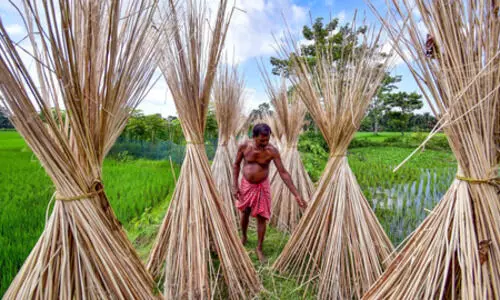 Representational Image