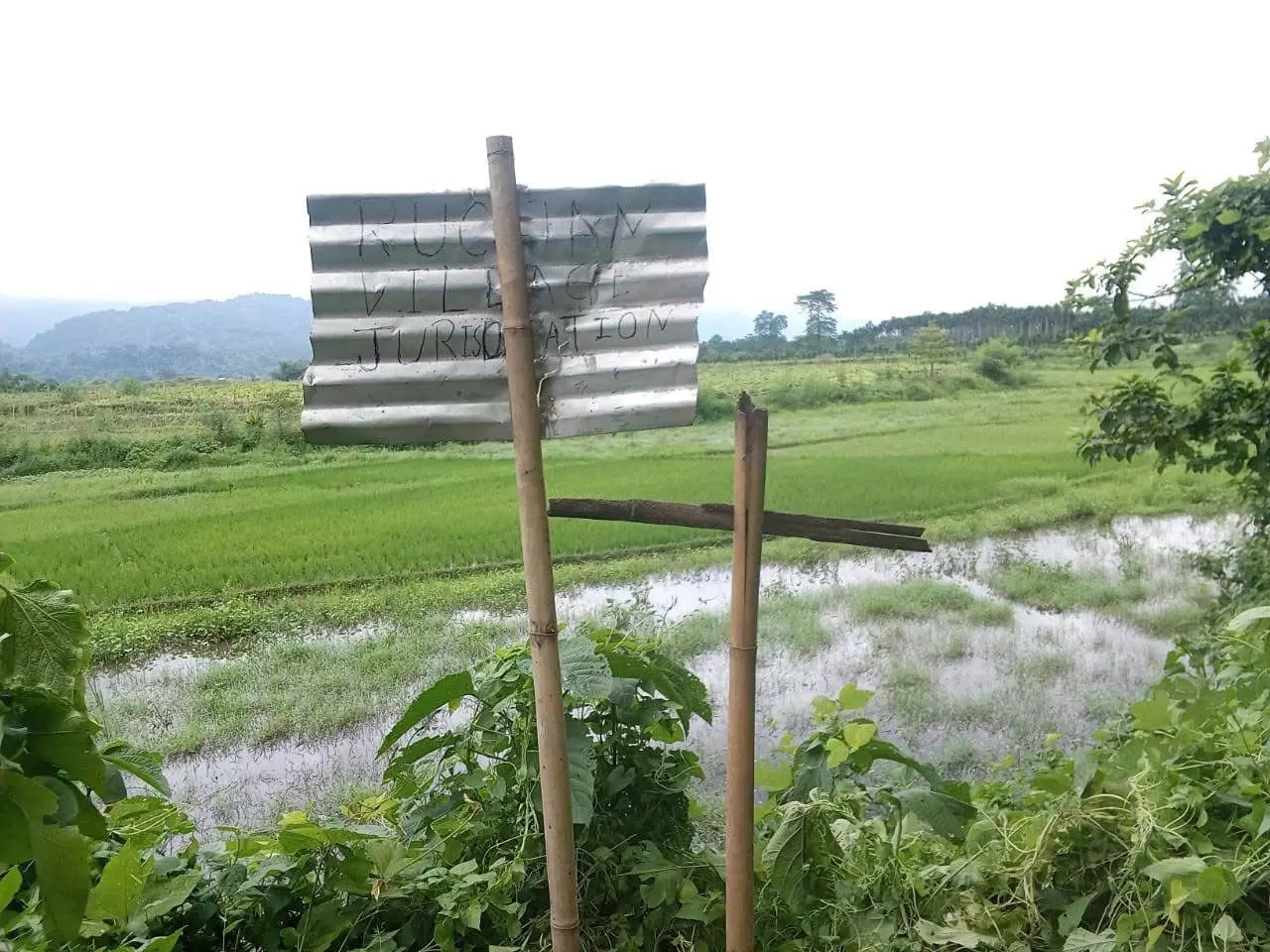 Post-eviction land grab fears mount as ‘Wokha’ markers, shelters appear in Uriamghat Post-eviction land grab fears mount as ‘Wokha’ markers, shelters appear in Uriamghat