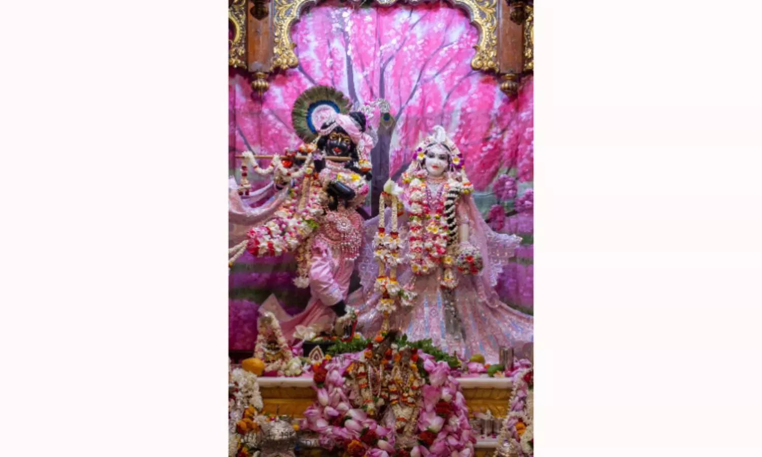 The nation wholeheartedly celebrates Janmashtami, as seers urge harmony and love