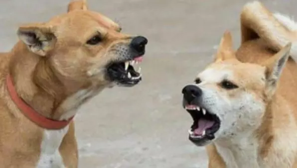 Representational Image