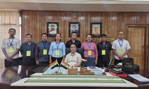 Mizoram govt expands rubber cultivation in Mamit amid Assam border flare-up