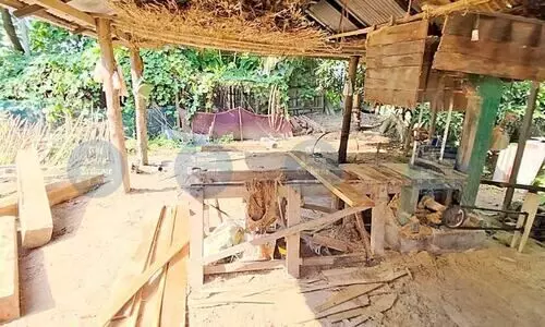 Illegal logging threatens West Kamrup forests; allegations of forest officials’ complicity surface