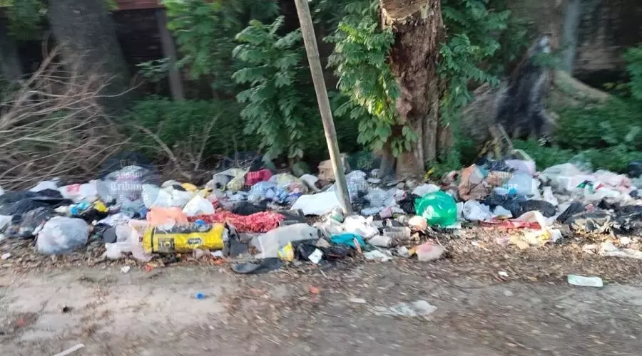 Civic neglect, chaos strip historic Tezpur of its glory, citizens seek CM’s intervention