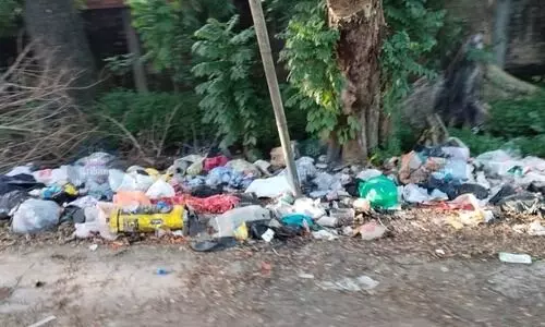 Civic neglect, chaos strip historic Tezpur of its glory, citizens seek CM’s intervention