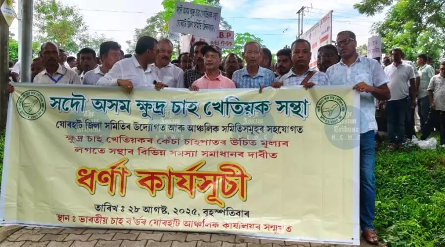 Jorhat small tea growers protest falling green leaf rates, cite exploitation Jorhat small tea growers protest falling green leaf rates, cite exploitation