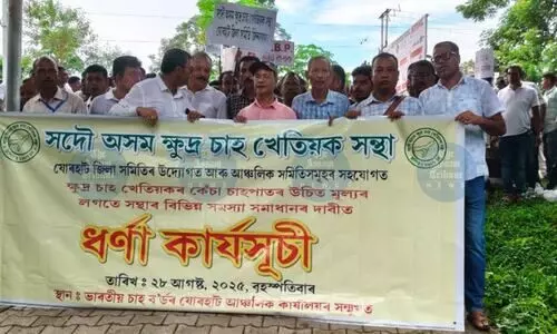 Jorhat small tea growers protest falling green leaf rates, cite exploitation