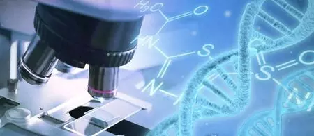 Representational Image Representational Image