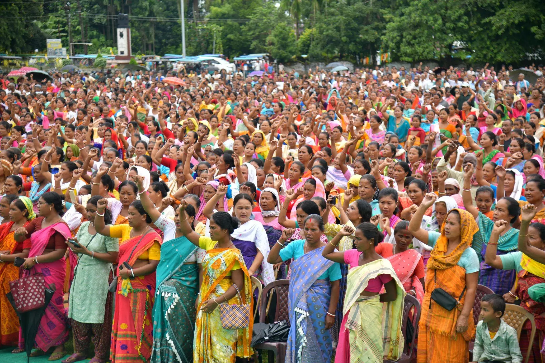 BTC polls: Voters get real choice as parties field diverse mix of veterans & first-timers BTC polls: Voters get real choice as parties field diverse mix of veterans & first-timers