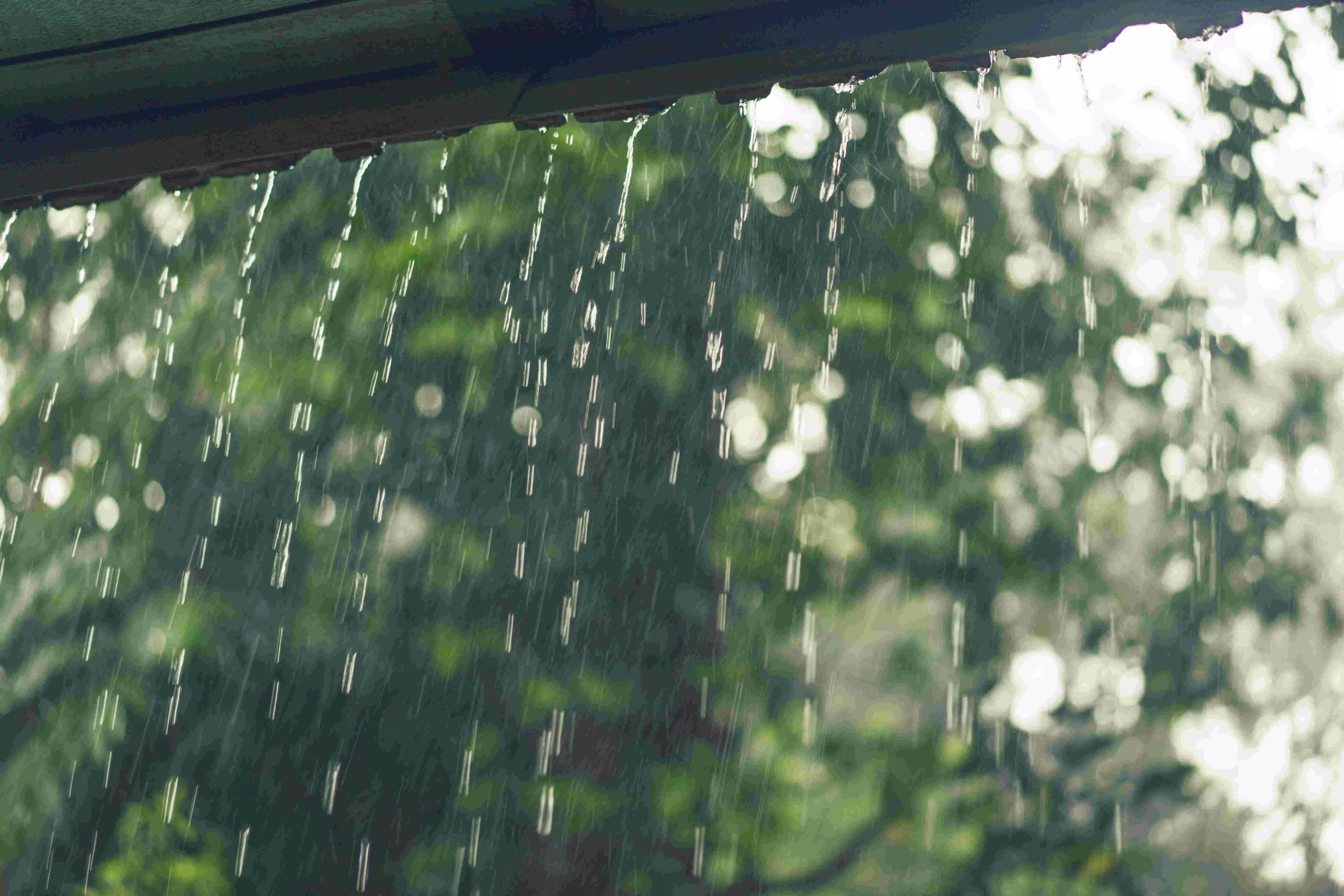 Why Rain Water Harvesting Matters More Than Ever