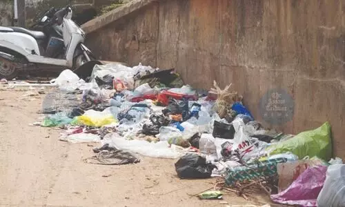 Guwahati’s garbage woes: Overflowing bins & choked drains raise health concerns
