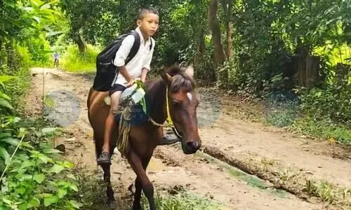 From village to virality: Assam boy’s horseback ride to school wins hearts online