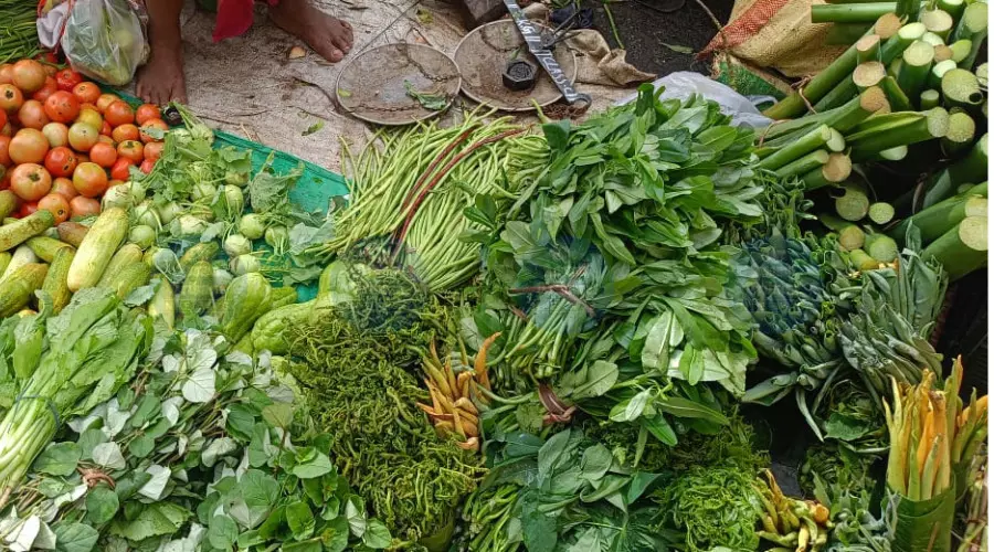 Hidden in plain sight: Assam’s indigenous superfoods make a splash at local bazaars