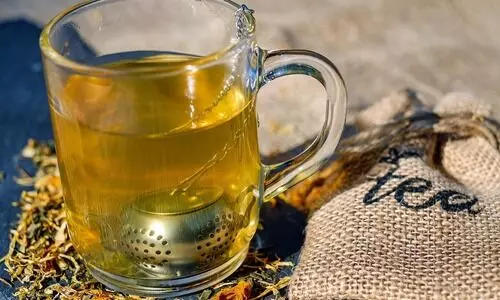 Assams Tocklai Tea Board launches antioxidant-rich green tea with 75% less caffeine