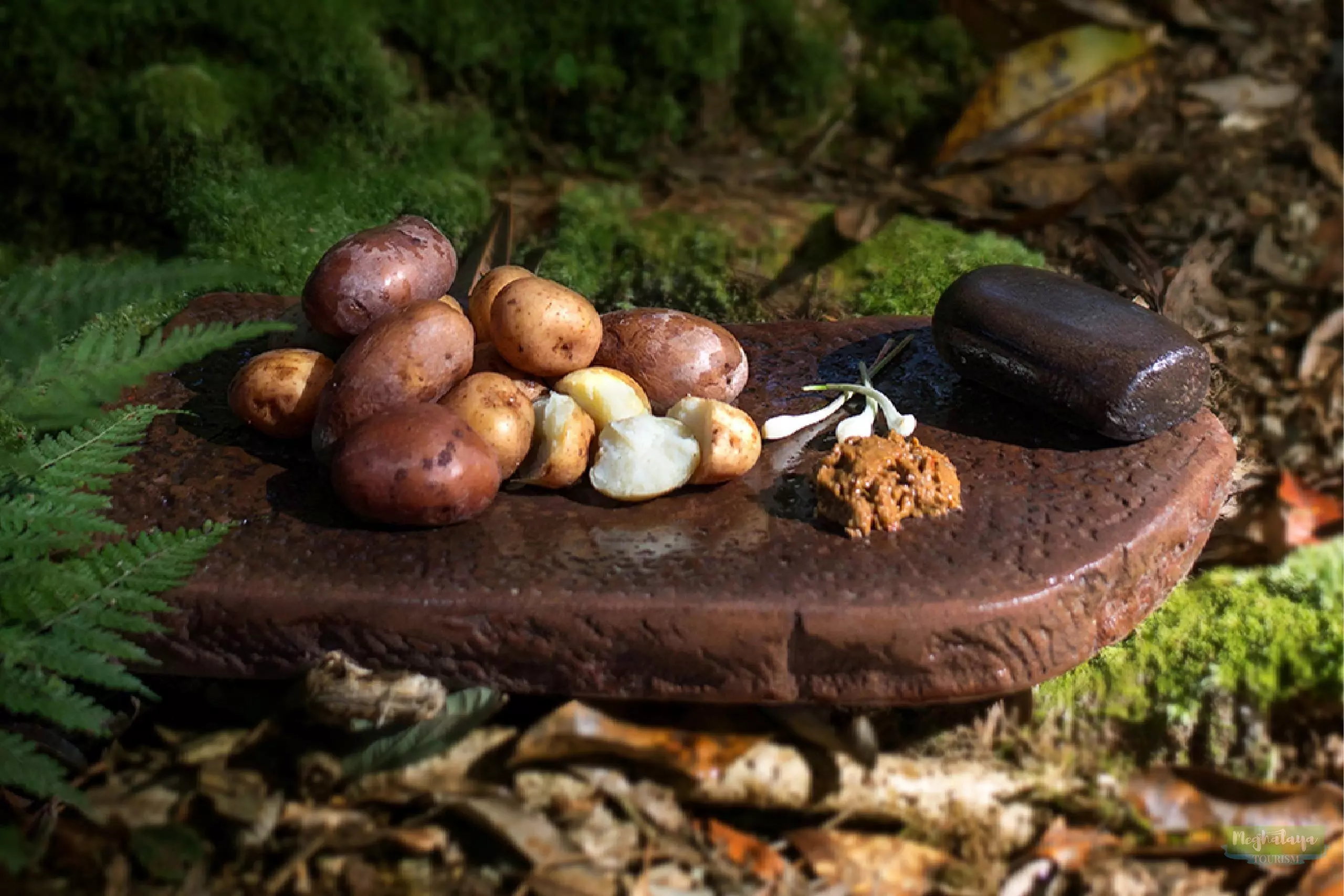 UNESCO plans digital food atlas to map Meghalaya’s tribal & cosmopolitan cuisines