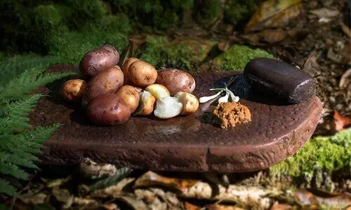 UNESCO plans digital food atlas to map Meghalaya’s tribal & cosmopolitan cuisines