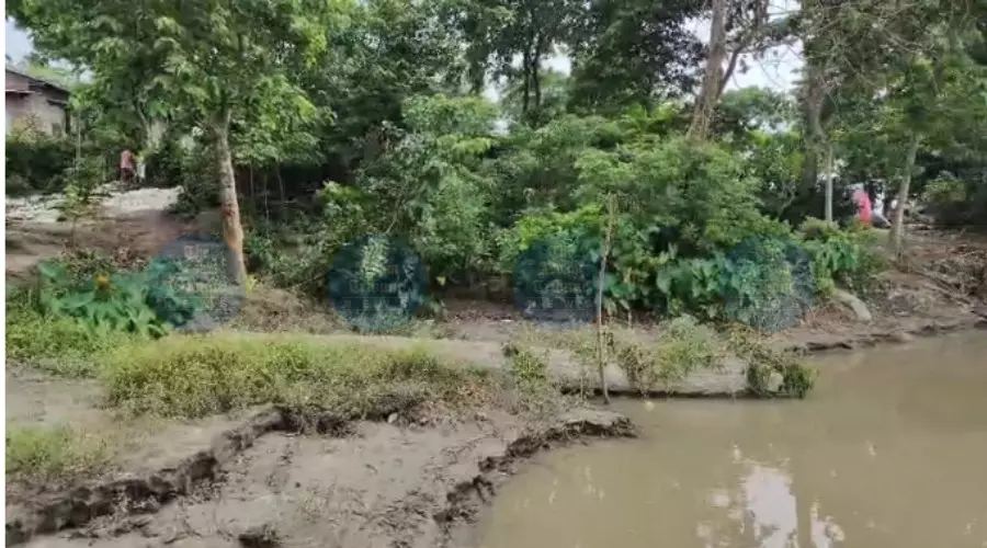 Brahmaputra fury swallows land, homes at Biswanath Ghat; 5,000 villagers in distress