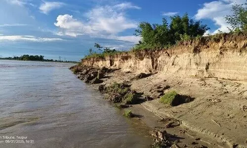River Gabharu erosion eats into cropland in Sonitpur, farmers left high & dry