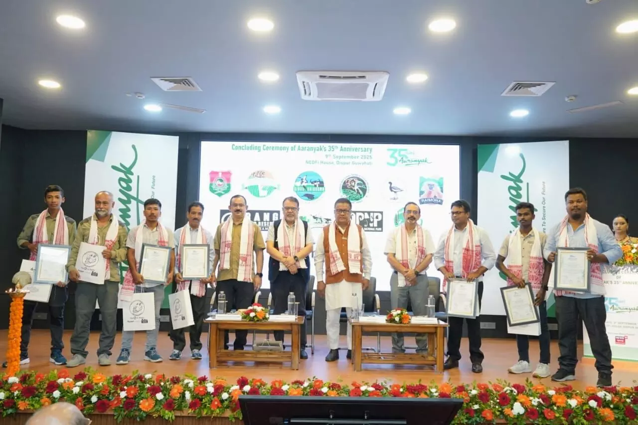 Research-backed conservation key to mitigate Assam’s human-elephant conflict: Ranoj