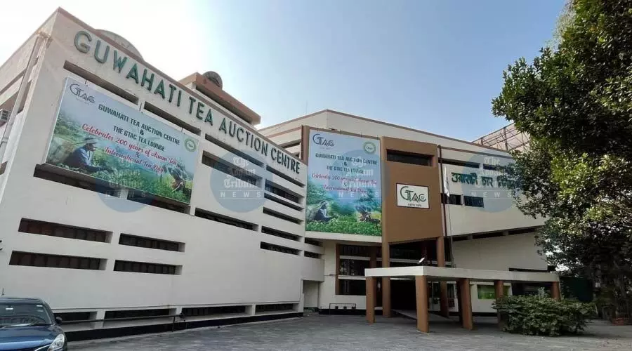 Assam tea fail FSSAI norms, ATPA calls for urgent industry reforms