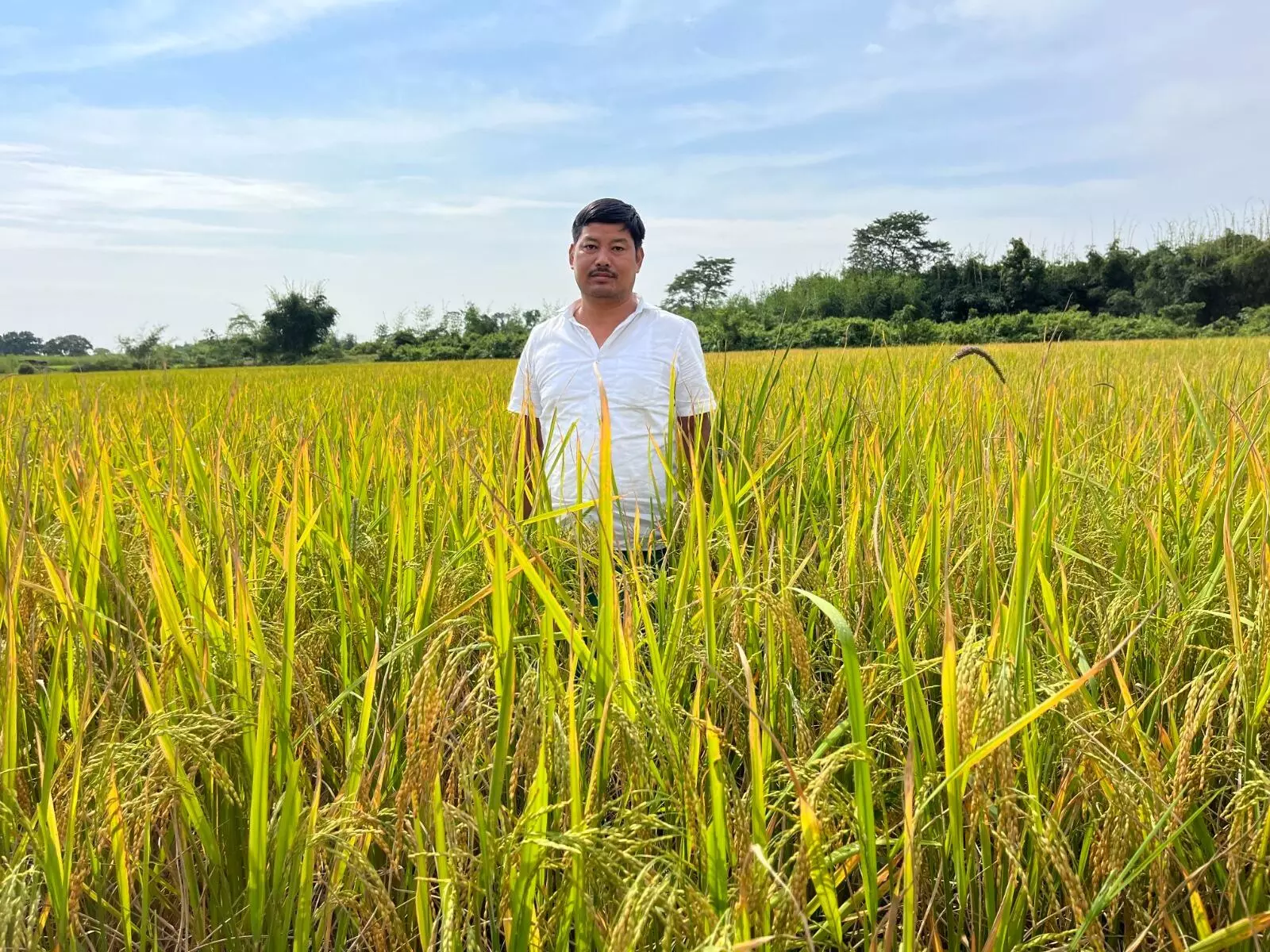 BTC pre-poll violence: UPPL candidate’s poll office torched in Gossaigaon, no arrests yet