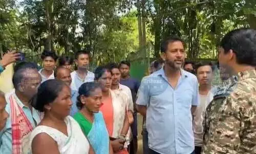 Merapani residents protest against Nagalands palm oil plantation drive