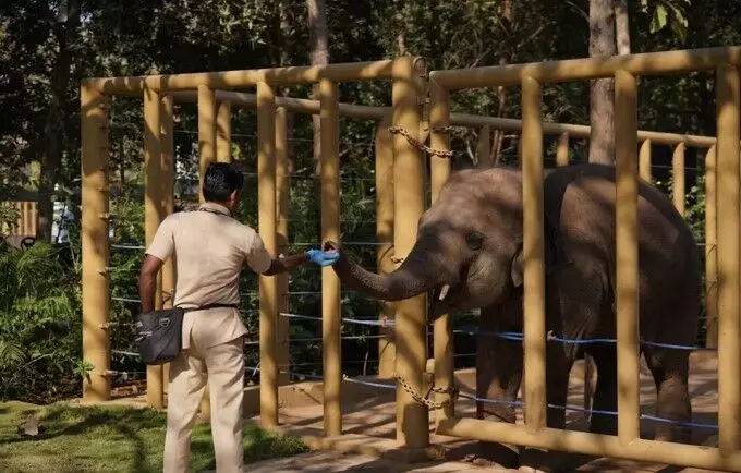 Vantara Sets Global Benchmark in Animal Care