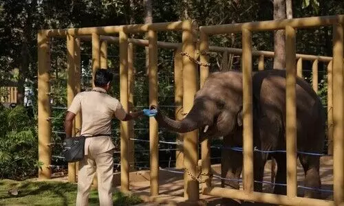 Vantara Sets Global Benchmark in Animal Care