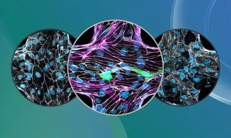 Representational Image