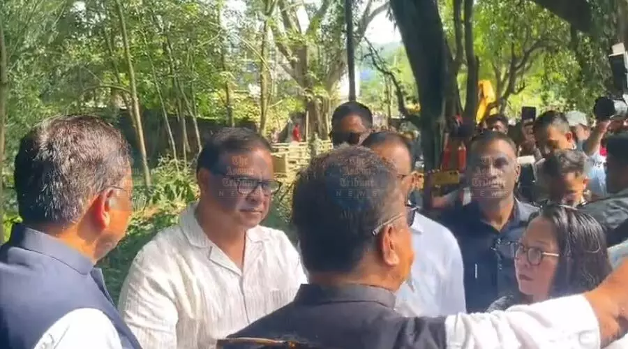 Dimoria’s 25-yr-old sandalwood tree to be offered for Zubeen Garg’s Sonapur cremation